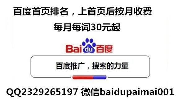 丽江百度优化排名价格丽江百度快照优化百度关
